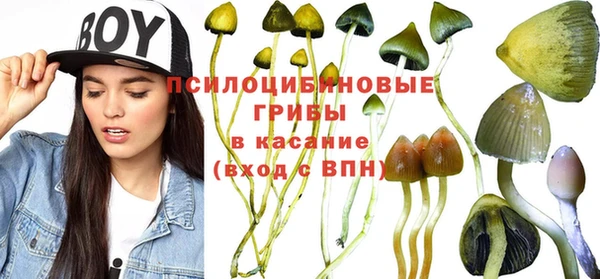 дмт Елизово