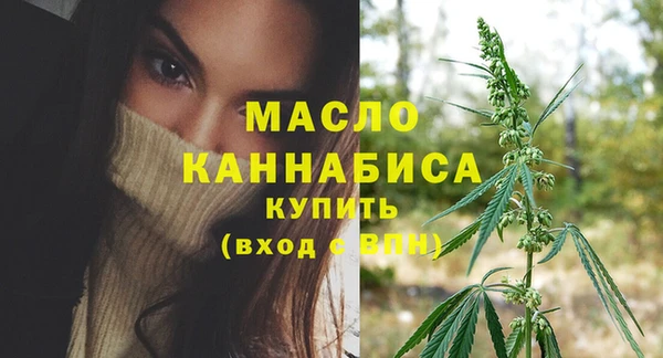 дмт Елизово