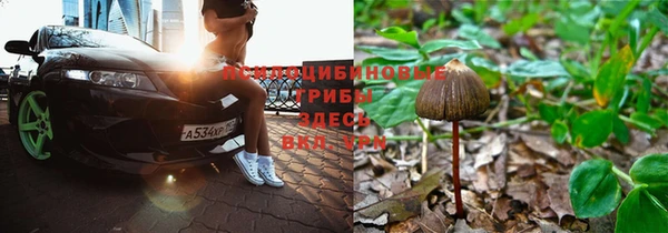 дмт Елизово