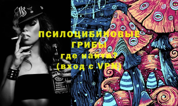 дмт Елизово