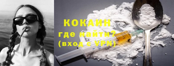индика Крымск
